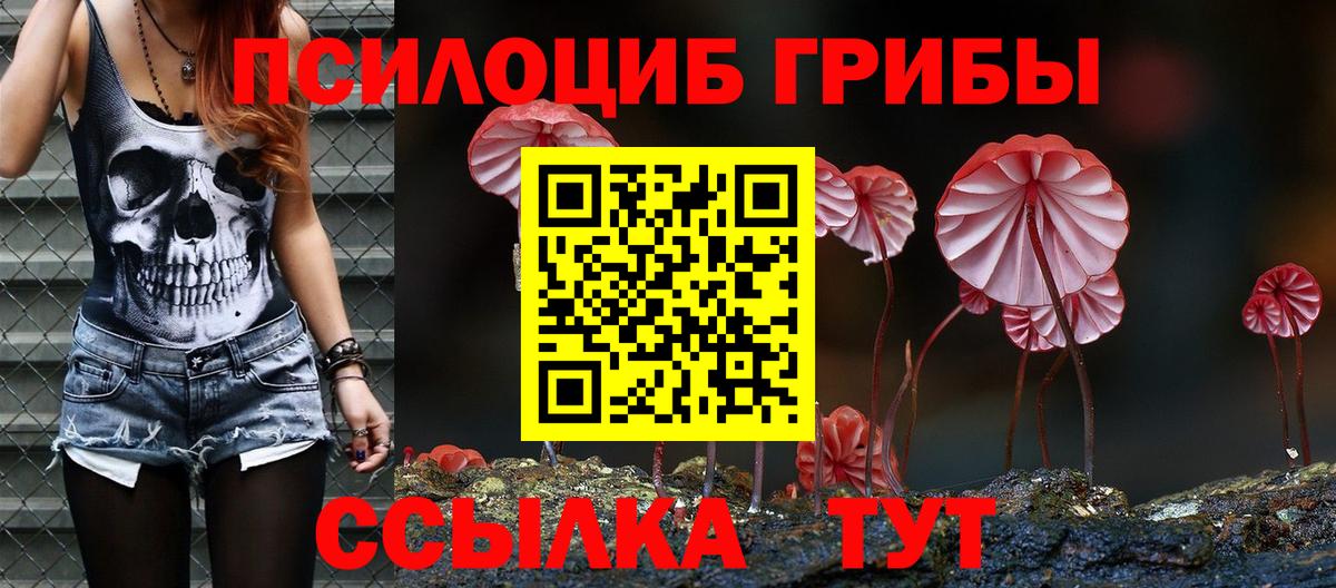 Галлюциногенные грибы MAGIC MUSHROOMS  Псилоцибиновые грибы Psilocybine cubensis  Канск  Вход с VPN 