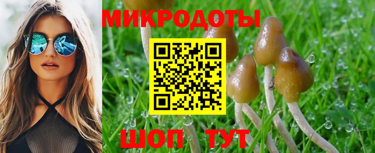 Галлюциногенные грибы мицелий Канск